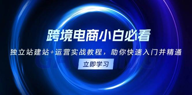 跨境电商小白必看！独立站建站+运营实战教程，助你快速入门并精通-中创网_分享创业项目_互联网资源