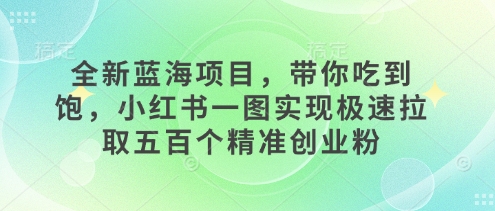 全新蓝海项目,带你吃到饱,小红书一图实现极速拉取五百个精准创业粉