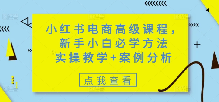 小红书电商高级课程，新手入门必会方式，实际操作课堂教学 经典案例-中创网_分享创业项目_互联网资源