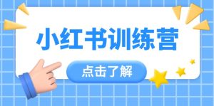 （14545期）小红书训练营，助小白入门，掌握技巧变达人，课程实操又全面（12节课）-中创网_分享创业项目_互联网资源