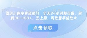 微信小程序变现项目，全天24小时都可做，单机30-100+，无上限，可批量手机放大-中创网_分享创业项目_互联网资源