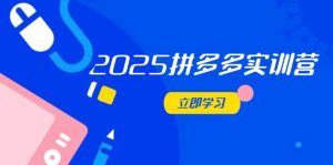 2025拼多多实训营：深度剖析运营关键，助力电商人快速提升-中创网_分享创业项目_互联网资源