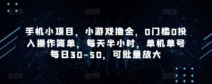 手机小项目，小游戏撸金，0门槛0投入操作简单，每天半小时，单机单号每日30-50，可批量放大-中创网_分享创业项目_互联网资源