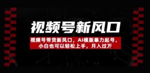 视频号带货新风口，AI模版暴力起号，小白也可以轻松上手，月入过W-中创网_分享创业项目_互联网资源