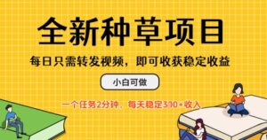 全新种草项目，每日只需转发视频，每天随时做任务，一个任务2分钟，每天3张+收入，小白可做-中创网_分享创业项目_互联网资源