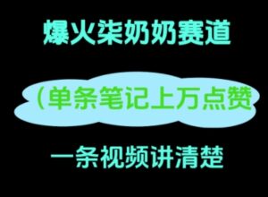 小红书爆火柒奶奶，13 天涨粉 8.7 W，全流程拆解-中创网_分享创业项目_互联网资源
