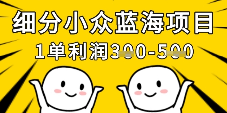 细分小众蓝海项目，一单利润3张，每月收入稳定过1w+-中创网_分享创业项目_互联网资源
