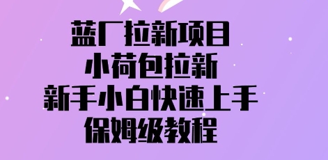 蓝厂拉新项目，小荷包拉新，新手小白快速上手，保姆级教程-中创网_分享创业项目_互联网资源