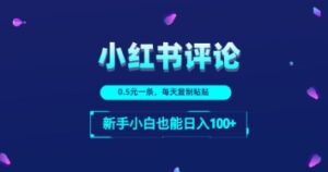 小红书留言评论：一条0.5元，每天复制粘贴，新手小白也能日入1张-中创网_分享创业项目_互联网资源