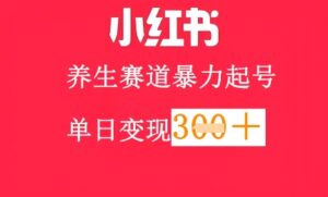 小红书养生赛道，暴力起号，轻松日入3张+-中创网_分享创业项目_互联网资源