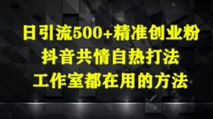 日引流500+精准创业粉，抖音共情自热打法，工作室都在用的方法-中创网_分享创业项目_互联网资源