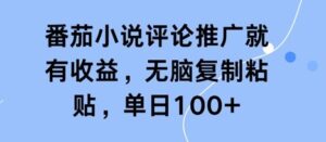 番茄小说评论推广就有收益，无脑复制粘贴，单日100+-中创网_分享创业项目_互联网资源