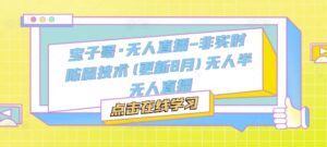 宝子哥·无人直播-非实时防风技术(更新25年5月)无人半无人直播-中创网_分享创业项目_互联网资源