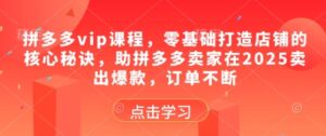 拼多多vip课程，零基础打造店铺的核心秘诀，助拼多多卖家在2025卖出爆款，订单不断-中创网_分享创业项目_互联网资源