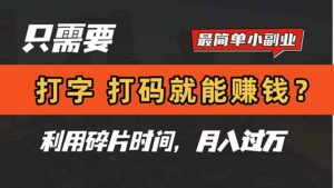 (14673期)只需要打字,打码,就能赚钱?简单的赚钱小副业,利用碎片时间,月入过万-中创网_分享创业项目_互联网资源
