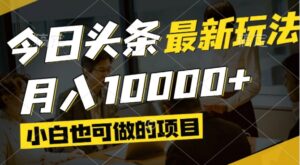（14675期）今日头条最新风口,视频掘金,小白也可月入过万,可以矩阵操作-中创网_分享创业项目_互联网资源