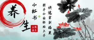 疯狂火爆，用Deepseek小红书平台的女性古声古韵养生爆款，小白轻松制作，快速拿到结果-中创网_分享创业项目_互联网资源