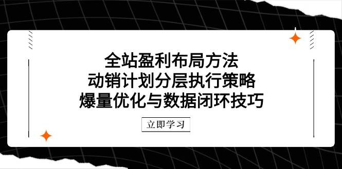 全站盈利布局方法：动销计划分层执行策略，爆量优化与数据闭环技巧-中创网_分享创业项目_互联网资源
