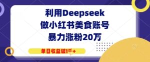 利用Deepseek做小红书美食账号，暴力涨粉20W，单日收益破1K+-中创网_分享创业项目_互联网资源