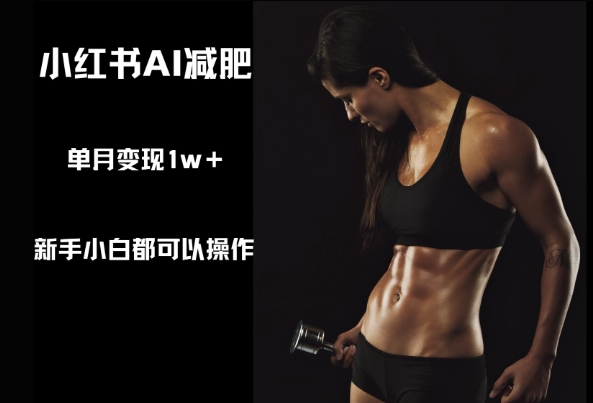 小红书AI减肥，新手小白都可以操作，单月变现1w+-中创网_分享创业项目_互联网资源