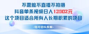 不露脸不直播不拍摄抖音单条视频日入1k+这个项目适合所有人长期积累的项目-中创网_分享创业项目_互联网资源