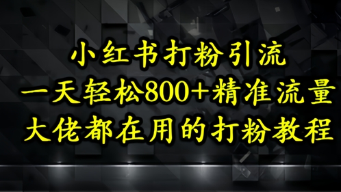 小红书打粉引流，一天轻松500+精准流量，大佬都在用的打粉教程-中创网_分享创业项目_互联网资源