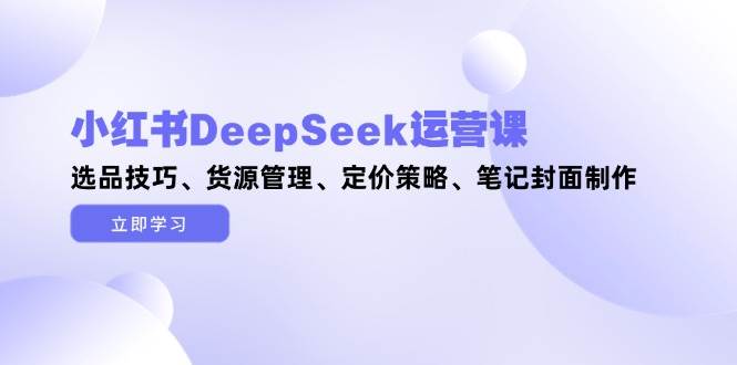 小红书DeepSeek运营课，选品技巧、货源管理、定价策略、笔记封面制作-中创网_分享创业项目_互联网资源