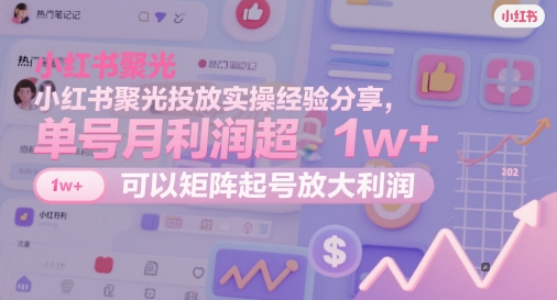 小红书聚光投放实操经验分享，单号月利润超1w+，可以矩阵起号放大利润-中创网_分享创业项目_互联网资源