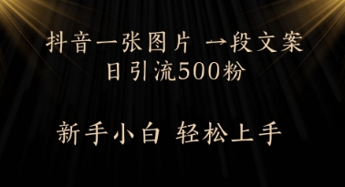每天2分钟，抖音一张图片 一段文案日引流500粉-中创网_分享创业项目_互联网资源