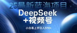25最新蓝海项目DeepSeek+视频号，小白易上手日入几张-中创网_分享创业项目_互联网资源
