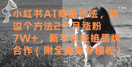 小红书AI商单玩法，用这个方法2个月涨粉7W+，新手也能接品牌合作(附全套指令模板)-中创网_分享创业项目_互联网资源