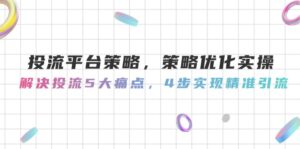 （14862期）投流平台策略，策略优化实操，解决投流5大痛点，4步实现精准引流-中创网_分享创业项目_互联网资源
