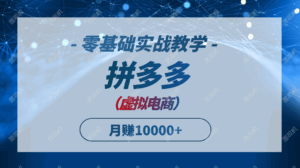 （14880期）拼多多虚拟电商，零基础实战教学，快速打爆商品，新手也能月入10000+-中创网_分享创业项目_互联网资源
