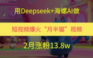 用Deepseek+海螺AI做短视频爆火“月半猫”视频,2月涨粉13.8w-中创网_分享创业项目_互联网资源