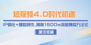 (15019期)短视频4.0时代机遇:IP孵化+爆款创作,揭秘1500w流量爆款方法论-中创网_分享创业项目_互联网资源