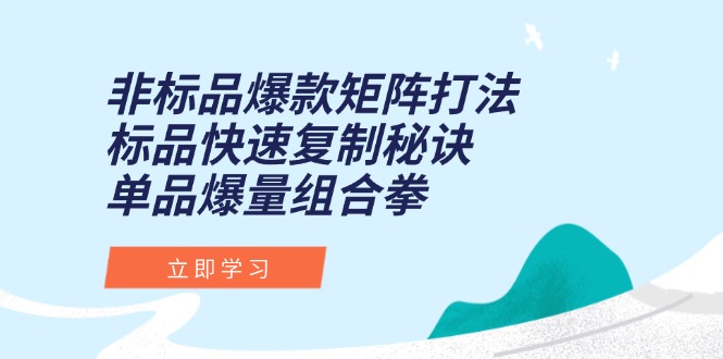 （15068期）非标品爆款矩阵打法，标品快速复制秘诀，单品爆量组合拳-中创网_分享创业项目_互联网资源