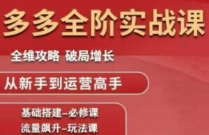 拼多多全阶实战课程，全维攻略，破局增长，从新手到运营高手-中创网_分享创业项目_互联网资源