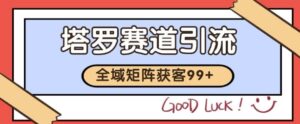小红书某音塔罗赛道引流获客 自热矩阵日引200+【揭秘】-中创网_分享创业项目_互联网资源