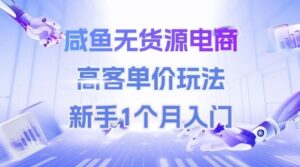 咸鱼无货源电商，高客单价玩法，新手1个月入门-中创网_分享创业项目_互联网资源