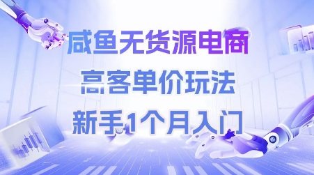 咸鱼无货源电商，高客单价玩法，新手1个月入门-中创网_分享创业项目_互联网资源