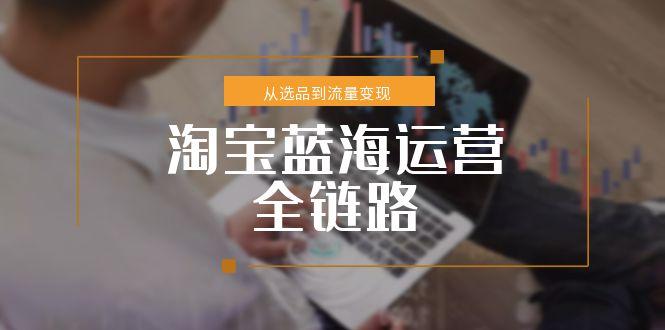 （15160期）淘宝蓝海运营全链路，从选品到流量变现，小类目突围完整方案-中创网_分享创业项目_互联网资源