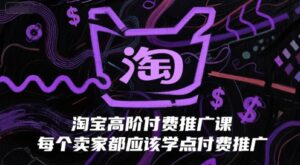淘宝高阶付费推广课，每个卖家都应该学点付费推广-中创网_分享创业项目_互联网资源