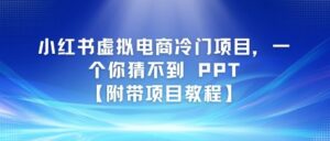 小红书虚拟电商冷门项目，一个你猜不到 PPT【附带项目教程】-中创网_分享创业项目_互联网资源