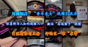 凡视知音：“香车美女”视频引流术，依靠鲜为人知的视频入口，搬运“高端圈子”视频，引流精准创业粉，评论区一堆“求带”-中创网_分享创业项目_互联网资源