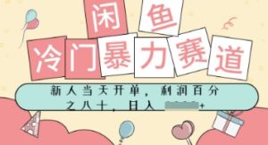 闲鱼冷门暴力赛道，新人当天开单，门槛低，日入多张-中创网_分享创业项目_互联网资源