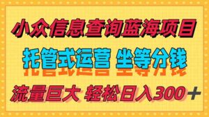（15216期）稳定日入300＋，小众信息查询蓝海项目，全程懒人式托管，解放你的时间-中创网_分享创业项目_互联网资源