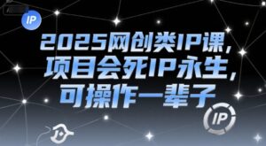 2025网创类IP课，项目会死IP永生，可操作一辈子-中创网_分享创业项目_互联网资源