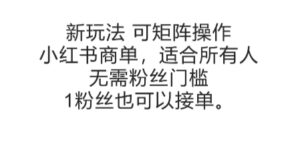 可矩阵操作，小红书商单新玩法，适合所有人，无需粉丝门槛，1粉丝也可以接单-中创网_分享创业项目_互联网资源