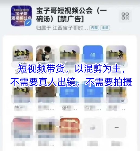 宝子哥头部团队短视频带货，以混剪为主，不需要真人出镜，不需要拍摄【更新6月】-中创网_分享创业项目_互联网资源