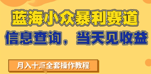 蓝海小众暴利赛道，信息查询，当天见收益，不讲玄学，7天搞了2W+-中创网_分享创业项目_互联网资源